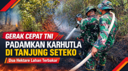 Gerak Cepat TNI Padamkan Karhutla di Tanjung Seteko, Dua Hektare Lahan Terbakar