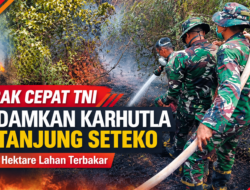 Gerak Cepat TNI Padamkan Karhutla di Tanjung Seteko, Dua Hektare Lahan Terbakar