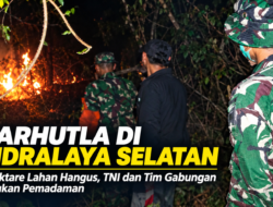 Karhutla di Indralaya Selatan Hanguskan 3 Hektare Lahan, TNI dan Tim Gabungan Lakukan Pemadaman