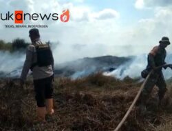 Ada 118 Hotspot, Karhutla di OKI Berpotensi Mengkhawatirkan