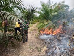 Meski Berstatus Tanggap Darurat Bencana, Karhutla di OKI Semakin Meluas