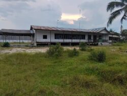 Misteri Pailit PT Alam Sari Lestari, Kurator Bungkam, Dugaan Suap Makin Menguat