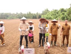 Pj Bupati dan Kapolres OKI Tanam Jagung Serentak
