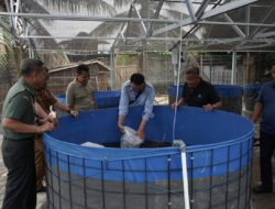 Tingkatkan Ketahanan Pangan, Kodim 0402/OKI Lepaskan Benih Ikan