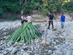 Seorang Ayah di Desa Skinu TTS Bacok Dua Anaknya Hingga Tewas