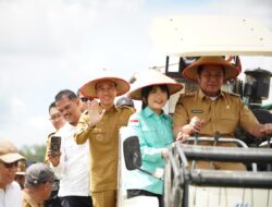 Wakili Sumsel, Petani OKI Panen Raya Serentak Bersama Presiden Secara Virtual