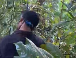Ditemukan Seorang Pemuda Tewas Gantung Diri di Fakfak, Polisi Masih Selidiki Motif