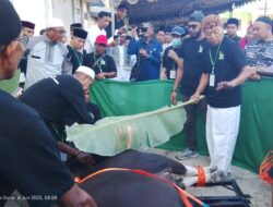 Bupati dan Wakil Bupati Fakfak Saksikan Penyembelihan Hewan Kurban Bantuan Presiden Prabowo di Masjid Al-Munawarah