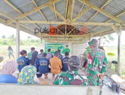 Satgas TMMD Kodim 1803/Fakfak Gelar Penyuluhan Pertanian untuk Dukung Ketahanan Pangan