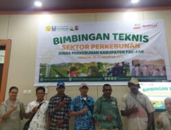 Pala, Minyak Kayu Putih, dan Harapan Baru Petani Fakfak