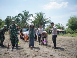 Penanaman Jagung Kuartal III Polres OKI di Pondok Pesantren Sabiilillah Kayuagung
