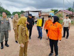 Wabup Netta Tinjau Jalan Desa Sumber Mekar Mukti Kecamatan Tanjung Lago