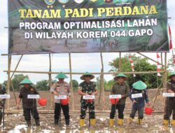 Terus Optimalkan Ketahanan Pangan, Staf Ahli Bupati Banyuasin dan Dandim O430/BA Tanam Padi Perdana