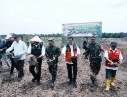 Dukung Ketahanan Pangan, Tanam Padi Serentak Digelar di Lahan Cetak Sawah Rakyat Banyuasin 2025