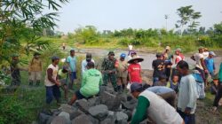 Demi Kelancaran Irigasi Pertanian, Babinsa Kamulan Dampingi Pembersihan Sungai Sodetan Kaliputih
