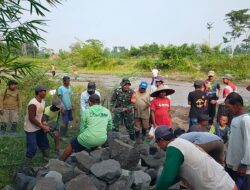 Demi Kelancaran Irigasi Pertanian, Babinsa Kamulan Dampingi Pembersihan Sungai Sodetan Kaliputih