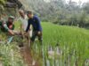 Antisipasi Kekeringan, Babinsa Sidomulyo Sertu Krida Dwi Bantu Pengairan Sawah Gunakan Pompa Air