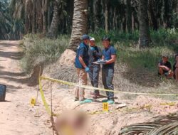 Penemuan Sesosok Mayat Laki-laki di Aliran Parit Kawasan Perkebunan Kelapa Sawit PT Hindoli