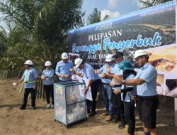 PT Prime Agri Resources Tbk Lepas Serangga Penyerbuk Asal Tanzania di Sumatera Selatan untuk Memperkuat Ketahanan Penyerbukan Kelapa Sawit