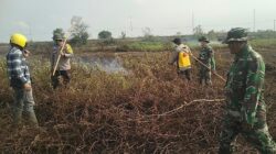 Babinsa Koramil 402-03/Sp Padang Berhasil Padamkan Karhutla Seluas 6 Hektar di Desa Batun Baru