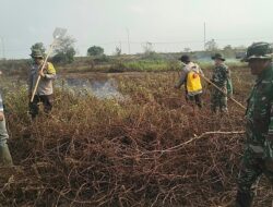 Babinsa Koramil 402-03/Sp Padang Berhasil Padamkan Karhutla Seluas 6 Hektar di Desa Batun Baru
