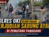 Polres OKI Selidiki Dugaan Perjudian Sabung Ayam di Pematang Panggang