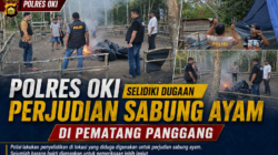 Polres OKI Selidiki Dugaan Perjudian Sabung Ayam di Pematang Panggang