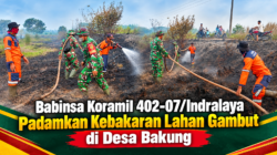 Babinsa Koramil 402-07/Indralaya Padamkan Kebakaran Lahan Gambut di Desa Bakung