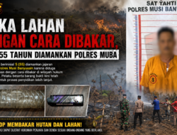 Buka Lahan dengan Cara Dibakar, Pria 55 Tahun Diamankan Polres Muba