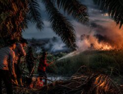 Babinsa Koramil 402-07/Indralaya Berjuang Padamkan Karhutla hingga Pukul 23.45 WIB di Desa Pulau Kabal