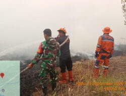 Hotspot Terdeteksi di Kedaton, TNI-BPBD Bergerak Lakukan Groundcheck
