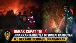 Gerak Cepat TNI Jinakkan Karhutla di Sungai Rambutan, 0,5 Hektare Berhasil Dipadamkan