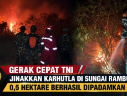 Gerak Cepat TNI Jinakkan Karhutla di Sungai Rambutan, 0,5 Hektare Berhasil Dipadamkan