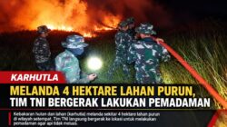 Karhutla Melanda 4 Hektare Lahan Purun, Tim TNI Bergerak Lakukan Pemadaman