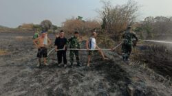 Api Membakar Alang-alang di MM2100, Damkar Koramil 14 Cikarang Barat Berjibaku Padamkan Api