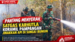 Pantang Menyerah, Satgas Karhutlah Koramil Pampangan Jinakkan Api di Sungai Bungin