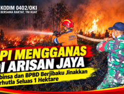 Api Mengganas di Arisan Jaya, Babinsa dan BPBD Berjibaku Jinakkan Karhutla Seluas 1 Hektare