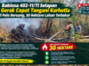 Babinsa 402-11/Tl Selapan Gerak Cepat Tangani Karhutla di Pulo Beruang, 30 Hektare Lahan Terbakar