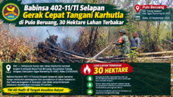 Babinsa 402-11/Tl Selapan Gerak Cepat Tangani Karhutla di Pulo Beruang, 30 Hektare Lahan Terbakar