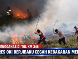 Api Mengganas di Tol KM 346, Polres OKI Berjibaku Cegah Kebakaran Meluas