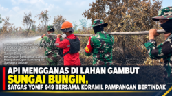 Api Mengganas di Lahan Gambut Sungai Bungin, Satgas Yonif 949 Bersama Koramil Pampangan Bertindak