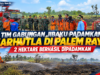 Tim Gabungan Jibaku Padamkan Karhutla di Palem Raya, 2 Hektare Berhasil Dipadamkan