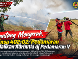 Pantang Menyerah, Babinsa 402-02/Pedamaran Kendalikan Karhutla di Pedamaran V