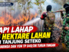 Api Lahap 5 Hektare Lahan di Tanjung Seteko, Babinsa dan Yon TP 949/DR Turun Tangan
