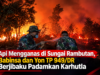 Api Mengganas di Sungai Rambutan, Babinsa dan Yon TP 949/DR Turun Tangan