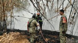 Babinsa Gerak Cepat Padamkan Kebakaran Lahan Bambu di Bojongmangu, Api Meluas Diterjang Angin