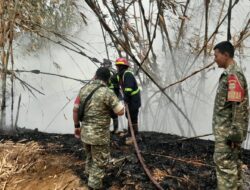 Babinsa Gerak Cepat Padamkan Kebakaran Lahan Bambu di Bojongmangu, Api Meluas Diterjang Angin