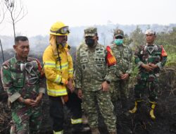 Danrem 044/Gapo Tinjau Penanganan Karhutla di Timbangan, Ogan Ilir
