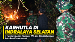 Karhutla di Indralaya Selatan Hanguskan 3 Hektare Lahan, TNI dan Tim Gabungan Lakukan Pemadaman